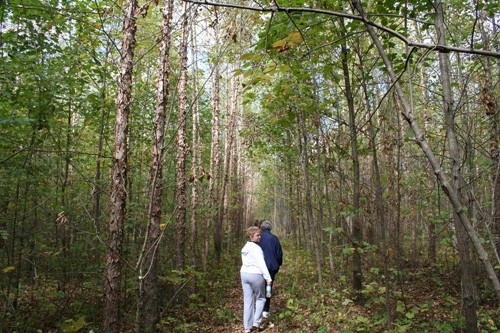 Journals and Letters week 32: Death, taxes and inconsiderate ladies