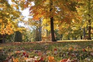 Fall 2012