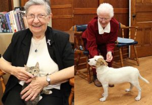 Sister Laurine Haley, left, and Sister Adelaide Ortegel enjoy the kindness of Sister Joanne Golding when she brings puppies and kittens to visit the Sisters of Providence living at Saint Mary-of-the-Woods.