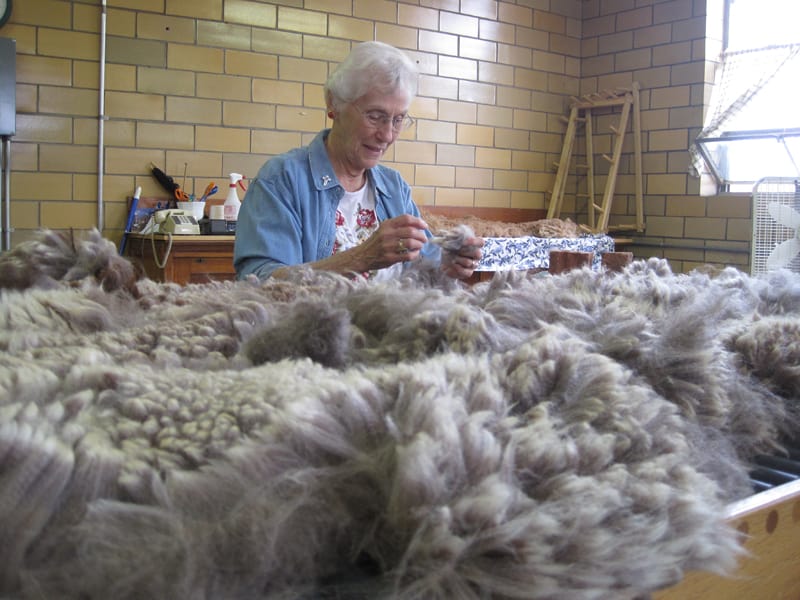 Sister Jeanne Knoerle photo album