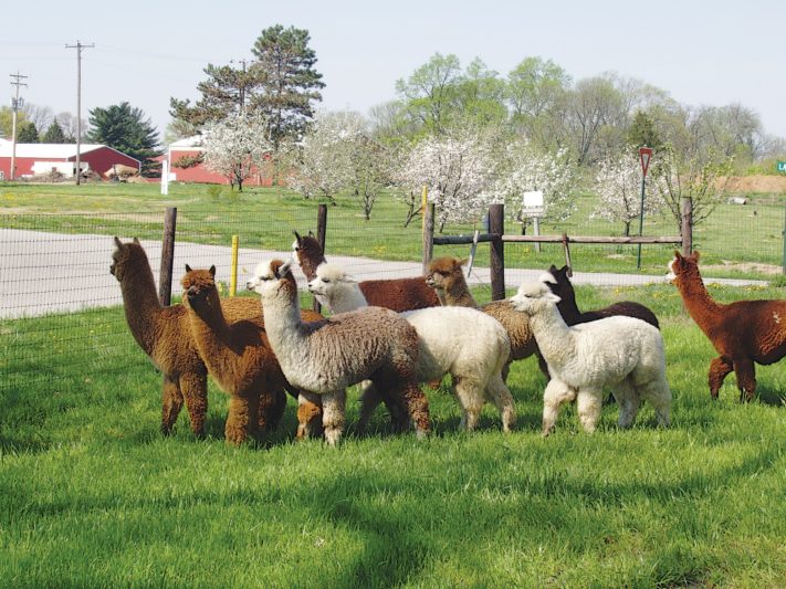 Learn more about White Violet Center for Eco-Justice