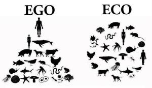 “…a land ethic changes the role of Homo sapiens from conqueror of the land-community to plain member and citizen of it.” -Aldo Leopold