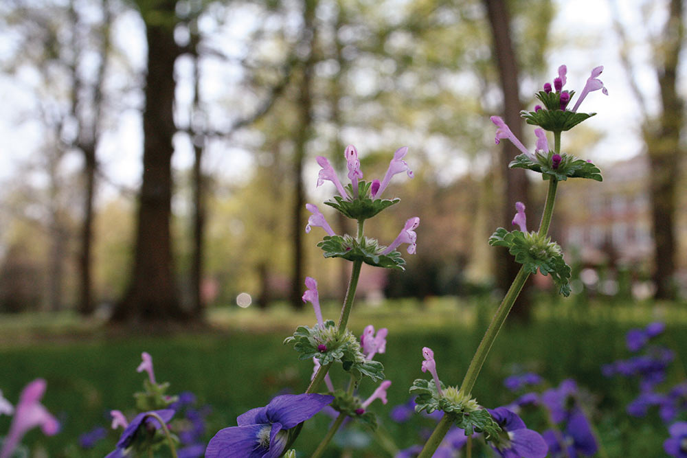 Journals and Letters week 30: No one will ever love you as your old Mother Theodore does