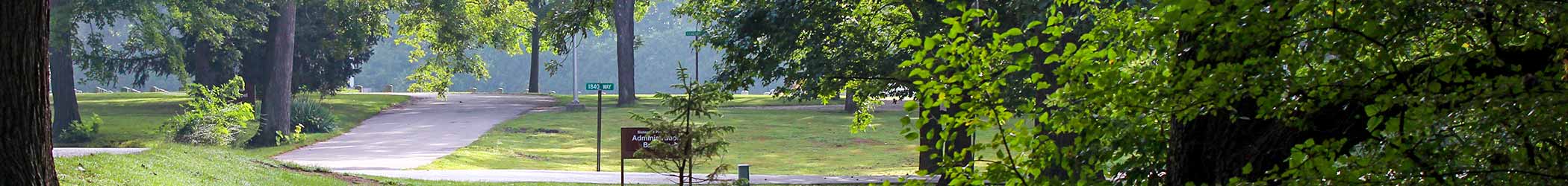 a road near the Administration Building, surrounded by trees