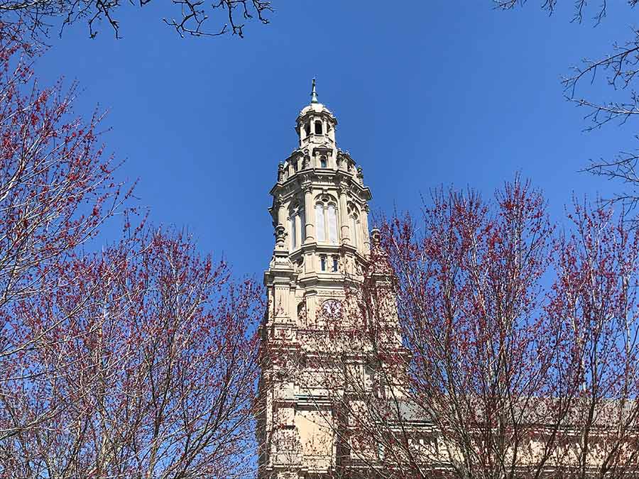 A walk in the Woods during social distancing