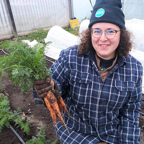 Intern, Libby holds a freshly harvested bunch of carrots from our high tunnel. 