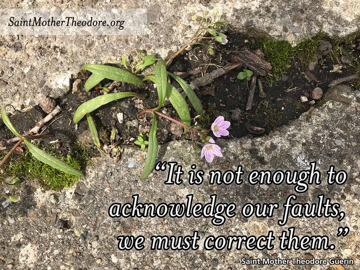 Journals and Letters week 48: Direct and loving advice from Mother Theodore