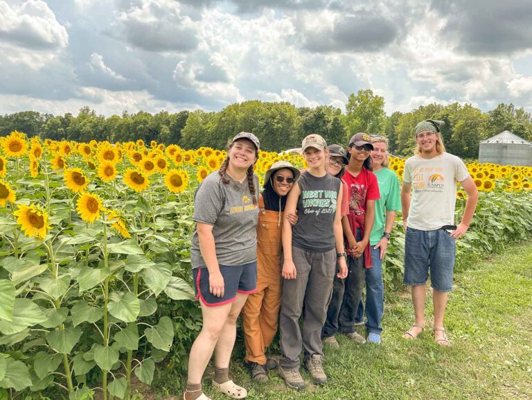 Smiling young people next to a field of sunflowers