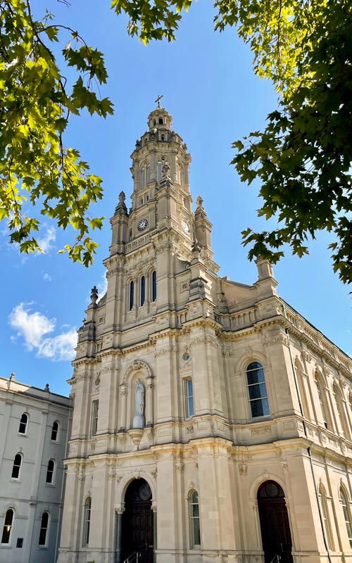 church of the immaculate conception through the trees