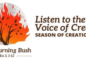 Burning-Bush-web
