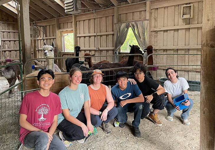 University of Creighton students on their 2026 alternative fall break volunteering in the alpaca barn.