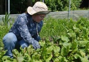 Elizabeth-Gentry-web1