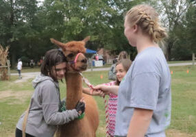 Fall-Farm-Day-_-alpacas-007-WEB