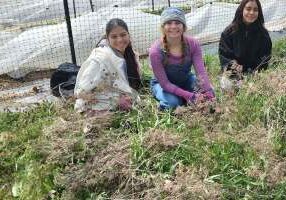 DePaul students Sofia Zapian (from left), Sophia Damstra and Nancy Martinez in the White Violet Center for Eco-Justice gardens.