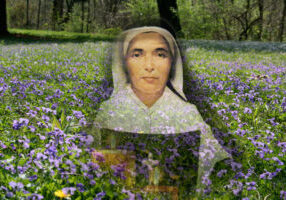 Saint Mother Theodore Guerin: 
